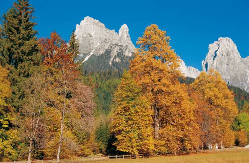 Dolomiti, weekend fra i colori dell'autunno che accendono i boschi